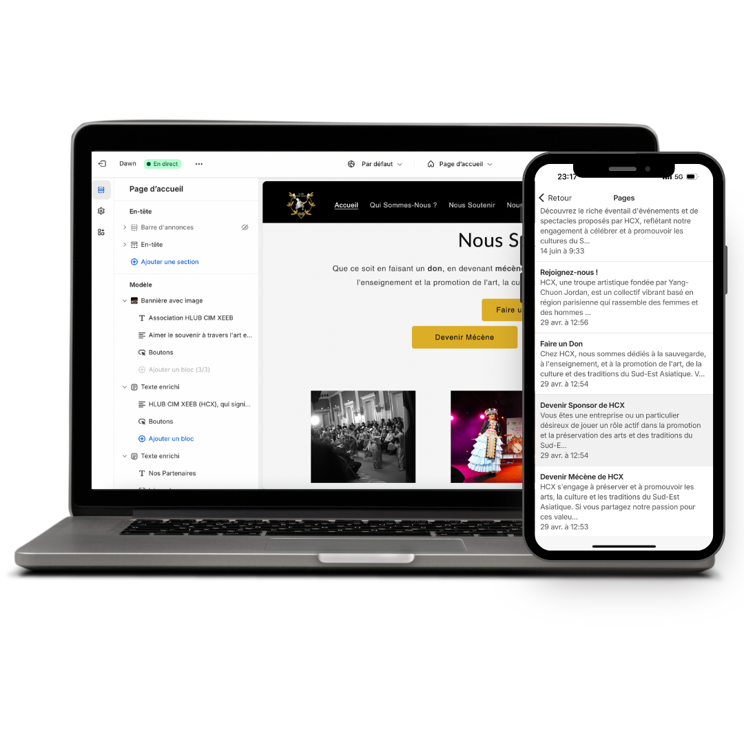 Gestion site web Argonauts Agency pour HCX art et culture association asie